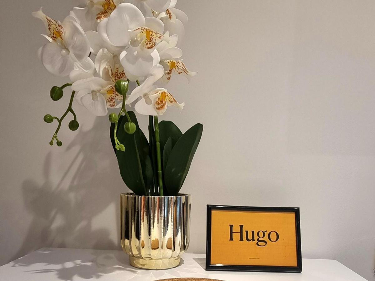 Hugo Old Town Apartment Belgrade Exterior photo